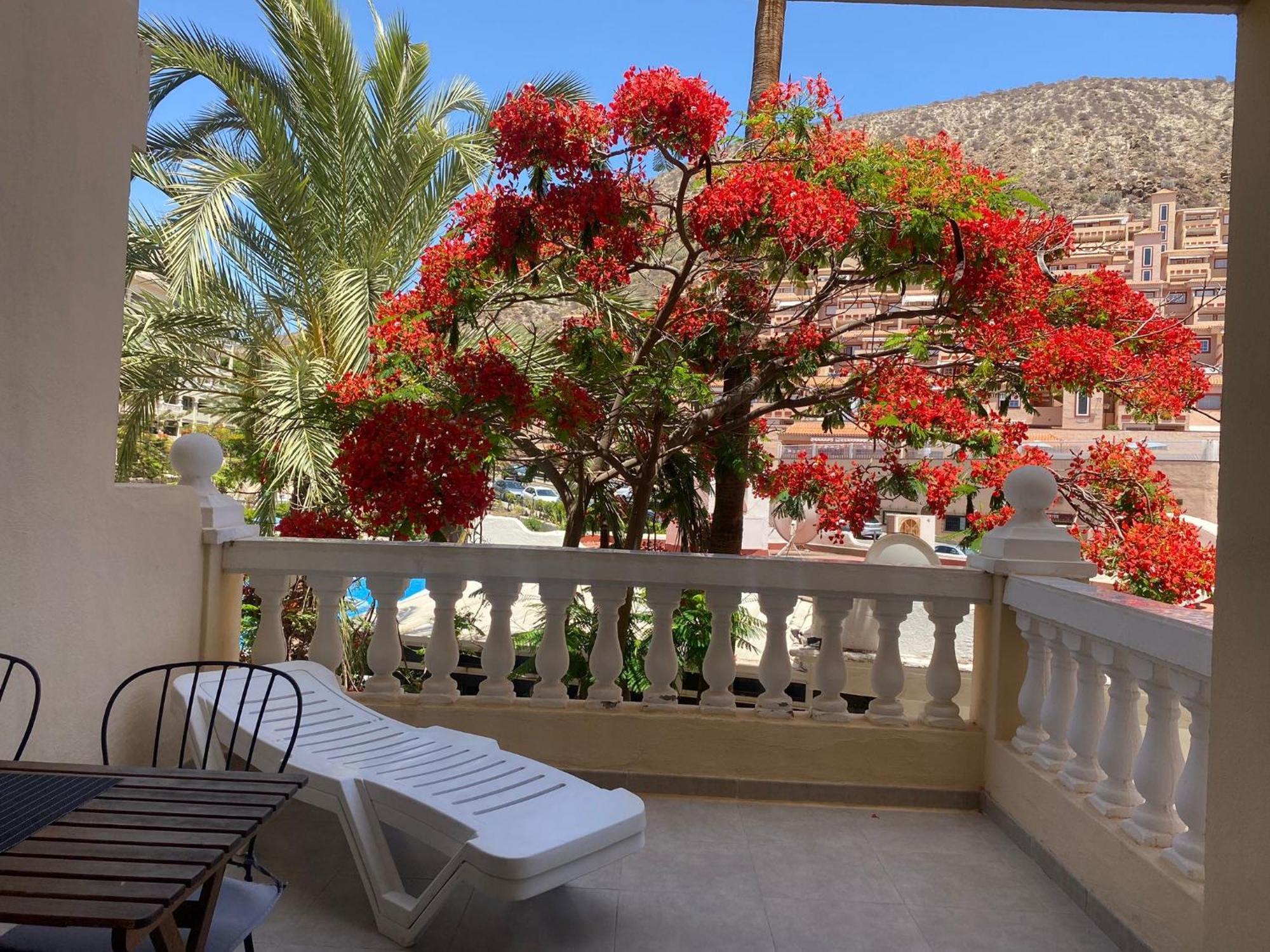 Castle Harbour Samuel'S Studio Flat By Lovetenerife Los Cristianos  Zewnętrze zdjęcie